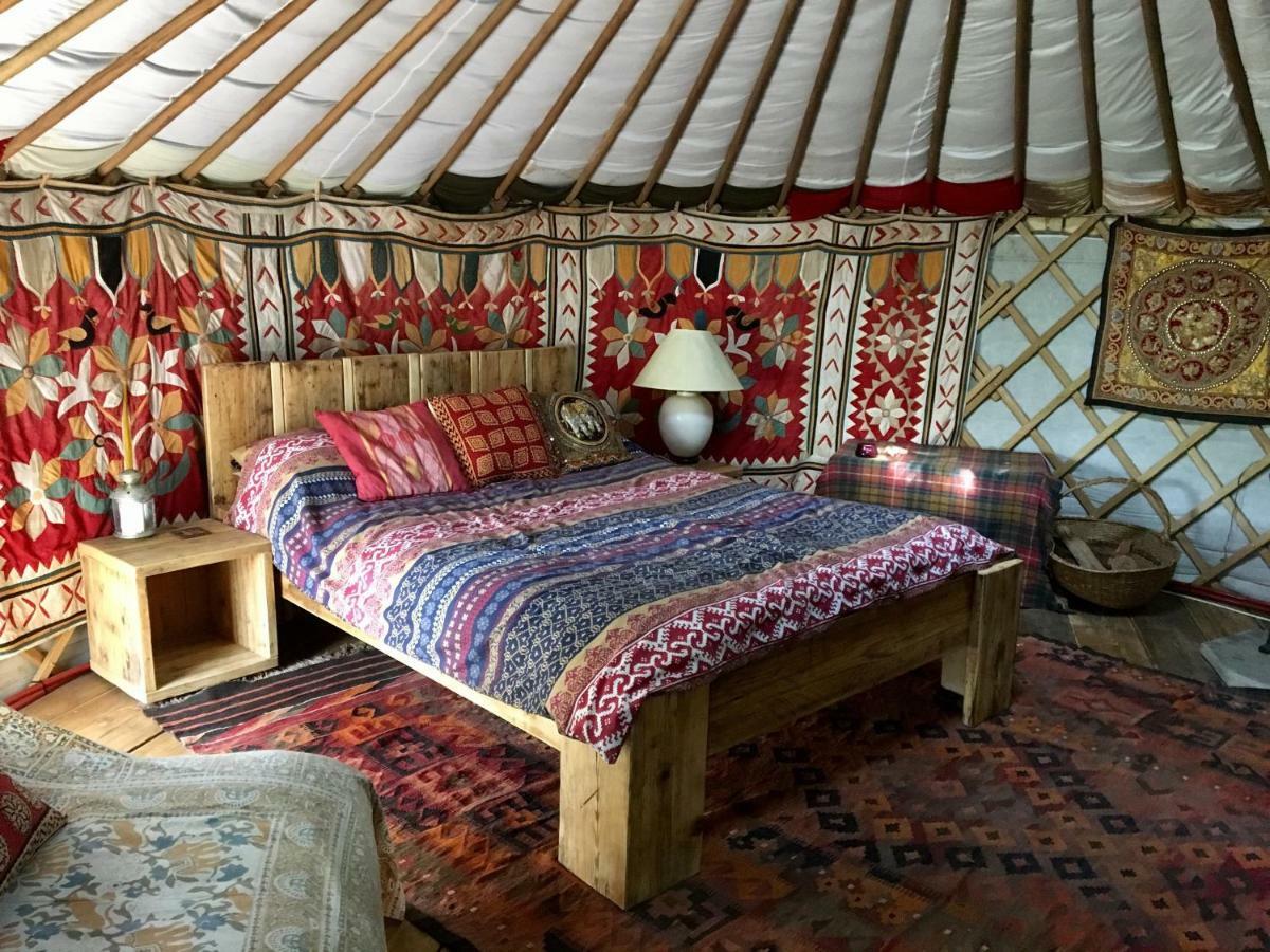 Cotswolds At Holycombe Luxury tent Shipston-on-Stour